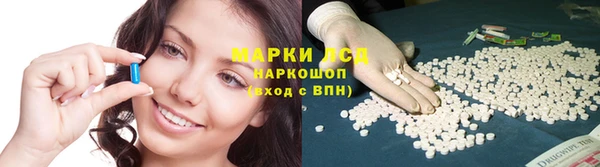 дмт Верея