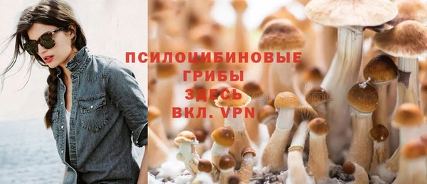 дмт Верея