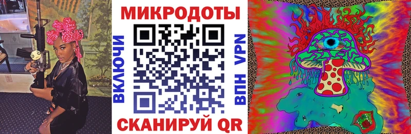 Галлюциногенные грибы Psilocybine cubensis Лихославль